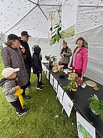 Smag alt det sunde fra naturen